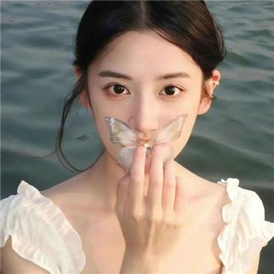 笼子在寻找小鸟